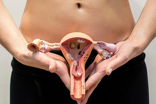 Infecciones vaginales a repetición o seguidas